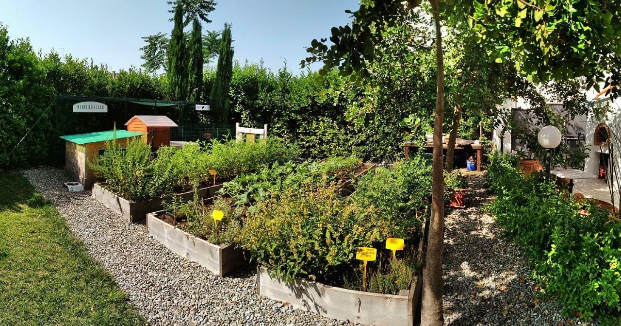 Masseria Urbana Crispiano Eksteriør billede